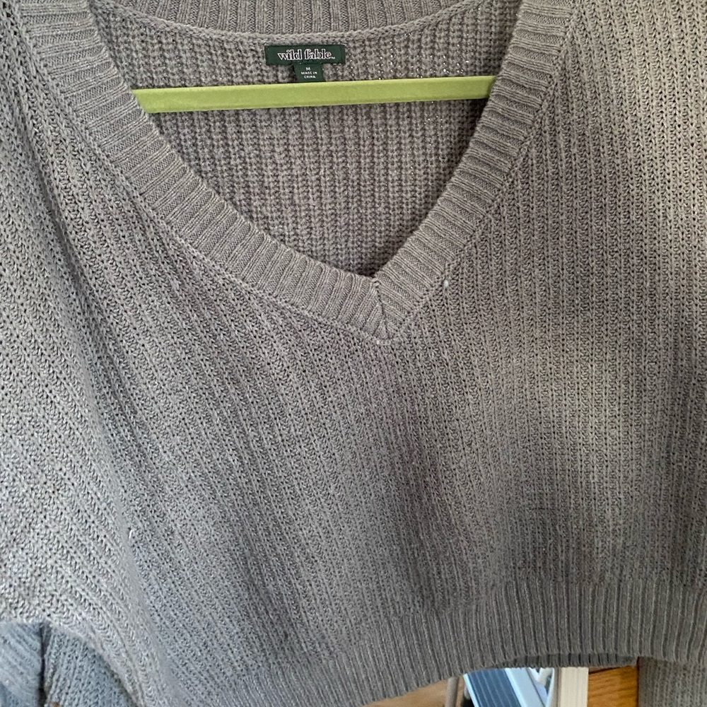 Cropped wild fable sweater